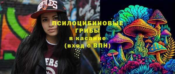 хмурый Абинск