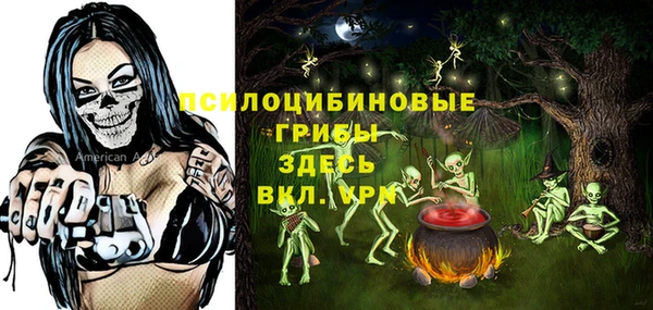 хмурый Абинск