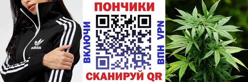 маркетплейс какой сайт  Сальск  Шишки марихуана MAZAR 